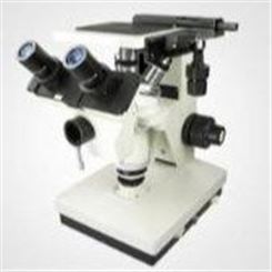 北京华兴瑞安 HXCX460高倍材料显微镜