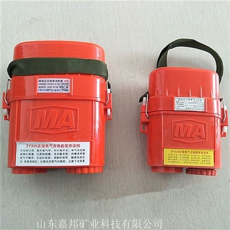 贵州煤矿ZYX45自救器 隔绝式自救器 45分钟压缩氧矿用自救器
