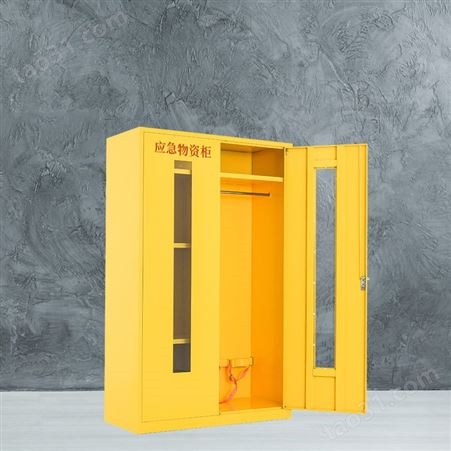 钢制防护安全柜 应急物资存放柜 防汛紧急器材储备柜