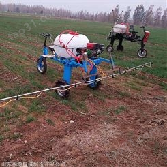 拉管式电动打药机视频  水稻农作物高压打药机  农用手推汽油喷雾器