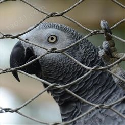 养鸟网润宁动物园不锈钢丝绳网 生产