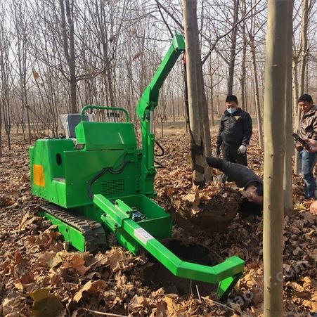 供应硬土质用移树机 定做果树行起苗移栽机 全新海棠树土球挖树机