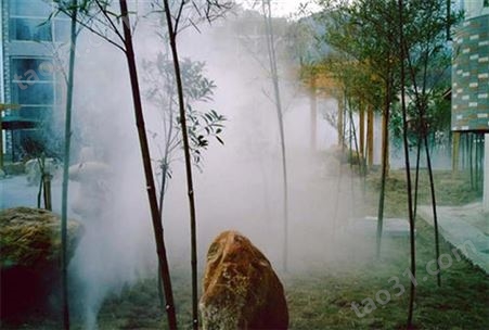 唐山景观喷雾系统围墙喷雾喷雾降尘系统