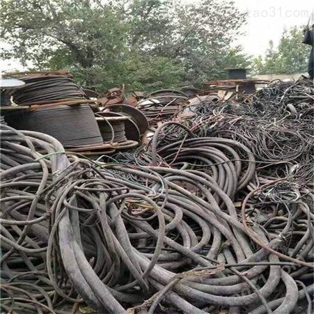 废电缆收购站 云南废电缆回收报价 废品回收商家