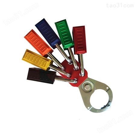 铂铒盾PATRON 安全挂锁上锁挂牌锁具11211紅色不同花钥匙塑料锁体