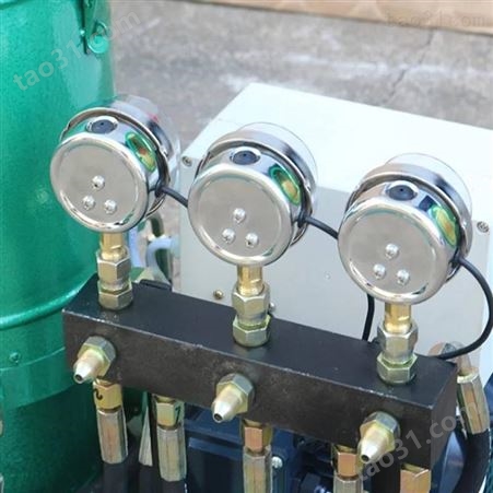 全自动润滑泵 木屑颗粒机黄油泵 电动打油泵厂家