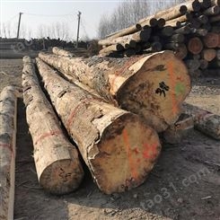 建筑木方厂家批发 呈果建筑木方报价 15x15辐射松木方