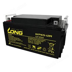 广隆LONG蓄电池WP65-12 12V65AH 通信机柜 UPS蓄电池 原装现货