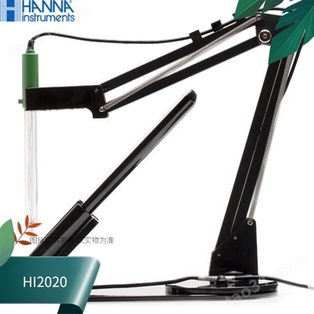 HI2020哈纳HANNA平板酸度PH测定仪