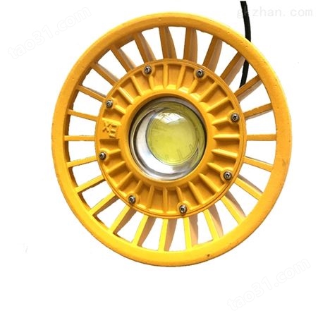 LED圆形免维护节能防爆泛光灯