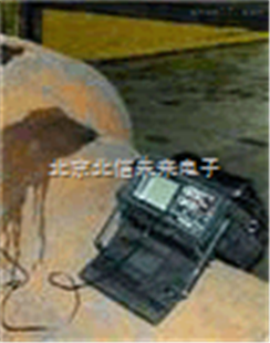 BXS17-GF1-USM35支柱瓷绝缘子探伤仪 专业瓷柱探伤测试仪  不同环境瓷柱探伤仪