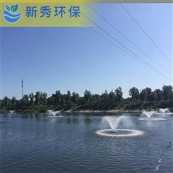 塑料浮筒式喷泉曝气机   河道景观浮水式喷泉泵
